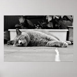 Zo verveeld... poster