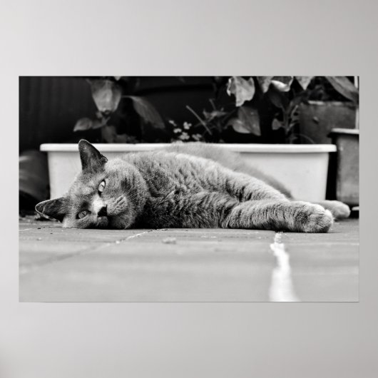 Zo verveeld... poster (Voorkant)