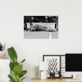 Zo verveeld... poster (Thuiskantoor)