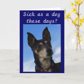 ZO ZIEK ALS EEN HOND TEGENWOORDIG? KAART (Gele Bloem)