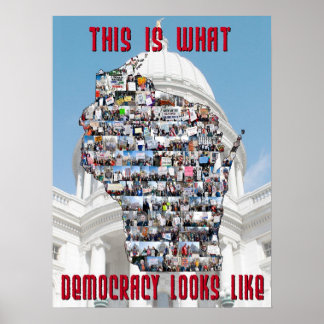 Zo ziet de democratie eruit poster