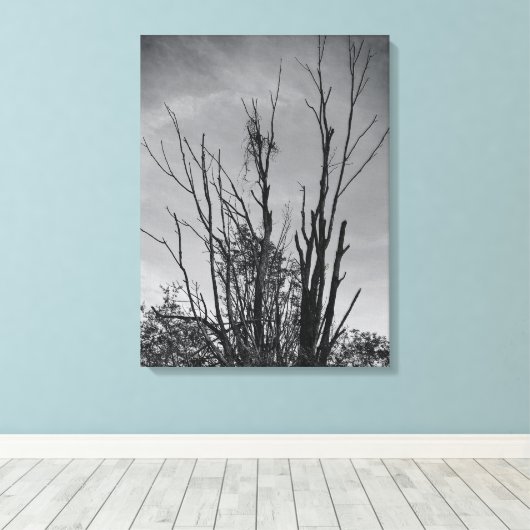 Zoals Ashes uit een Phoenix Canvas Afdruk (Insitu (Houten vloer))