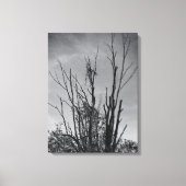 Zoals Ashes uit een Phoenix Canvas Afdruk (Voorkant)