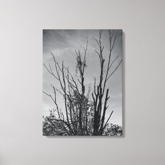 Zoals Ashes uit een Phoenix Canvas Afdruk (Voorkant)