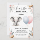 Zoals Big Zoo Baby White Elephant Birth Gender ont Kaart (Voorkant)