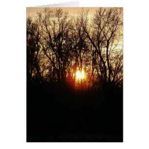 Zoals de zon plaatst