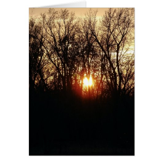 Zoals de zon plaatst (Voorkant)