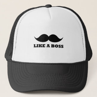 ZOALS EEN BOSS, EEN SCHERM TRUCKER PET