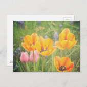 Zoals een mooi stilleven schilderij briefkaart (Voorkant / Achterkant)