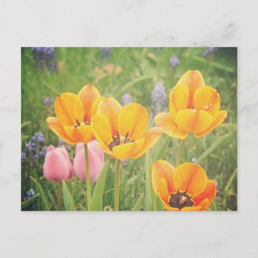 Zoals een mooi stilleven schilderij briefkaart (Voorkant)