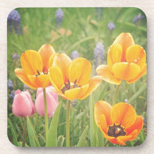 Zoals een mooi stilleven schilderij drankjes onderzetter (Voorkant)