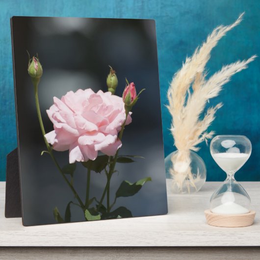 Zoals een Roos Fotoplaat (Zijkant)