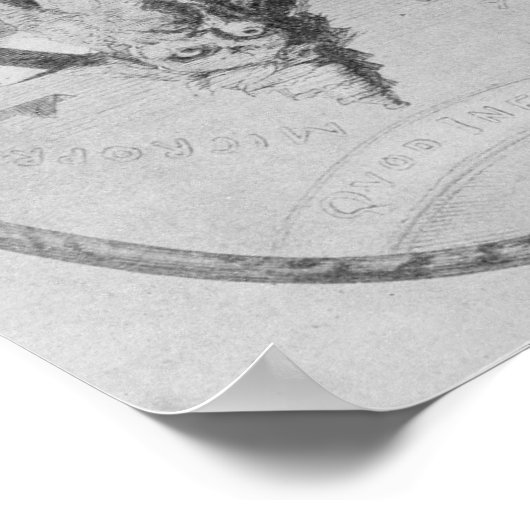 Zoals hierboven vermeld, hieronder illustratie poster (Hoek)