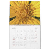 ZOALS JE HET ZIET! KALENDER (Mar 2027)