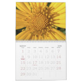 ZOALS JE HET ZIET! KALENDER (Mar 2026)