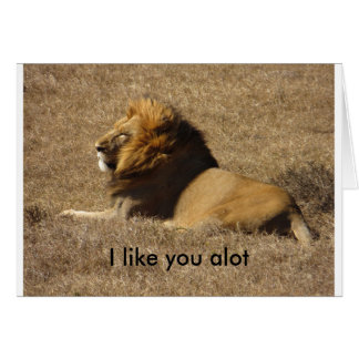 Zoals jij een partij