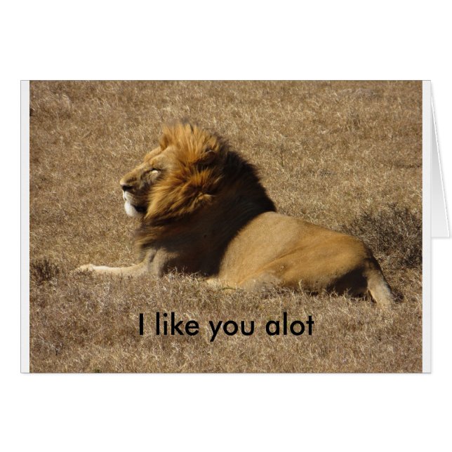 Zoals jij een partij (Voorkant Horizontaal)