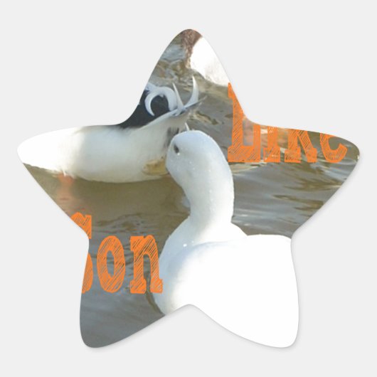 Zoals vader als zoon. ster sticker (Voorkant)