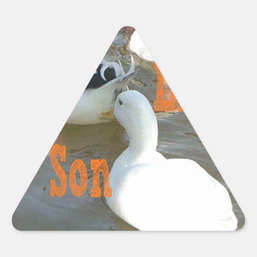 Zoals vader als zoon. sticker (Voorkant)