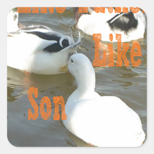 Zoals vader als zoon. vierkante sticker