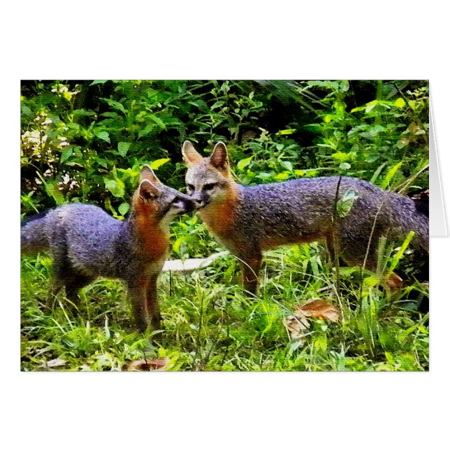 ZOALS VADER ZOALS SON (Voorkant Horizontaal)