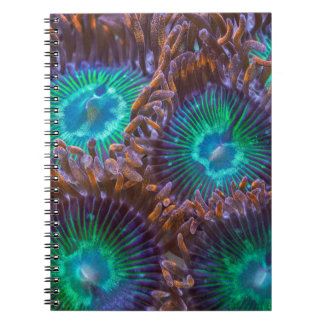 Zoanthid-patroon Notitieboek