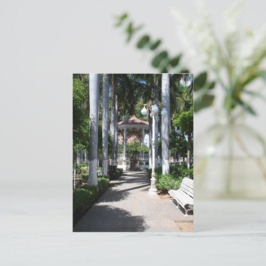 Zocalo Kiosk, El Fuerte, Sinaloa, Mexico Briefkaart (Staand voorkant)