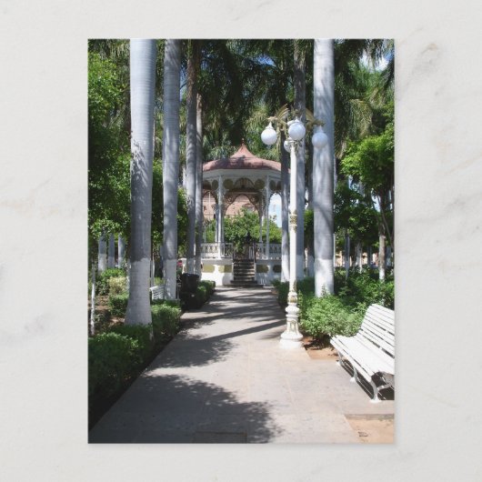 Zocalo Kiosk, El Fuerte, Sinaloa, Mexico Briefkaart (Voorkant)