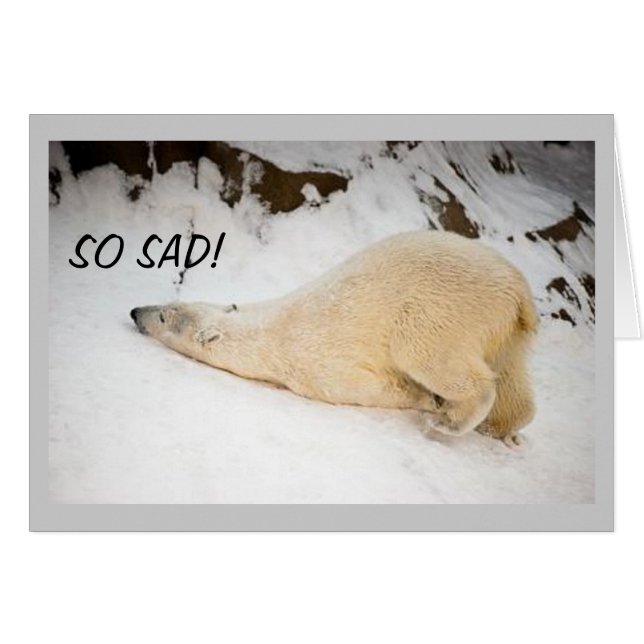 ****ZODANIG ZEI**** KAN NIET ZEGGEN DAT HET GEWELD (Voorkant Horizontaal)