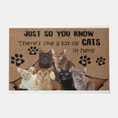 Zodat je weet dat er veel katten in haar zitten deurmat (Voorkant)