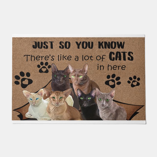 Zodat je weet dat er veel katten in haar zitten deurmat (Voorkant)