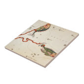 'Zodia Sign: Vissen' keramische tegel Tegeltje (Zijkant)