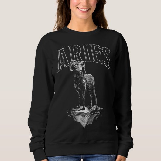 Zodiab Sign Aries Astrology Horoscope Trui (Voorkant)