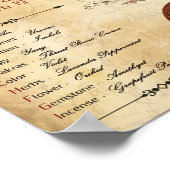 ZODIAC AQUARIUS Birth Sign POSTER (Hoek)