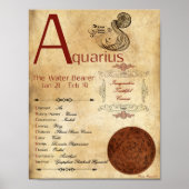 ZODIAC AQUARIUS Birth Sign POSTER (Voorkant)