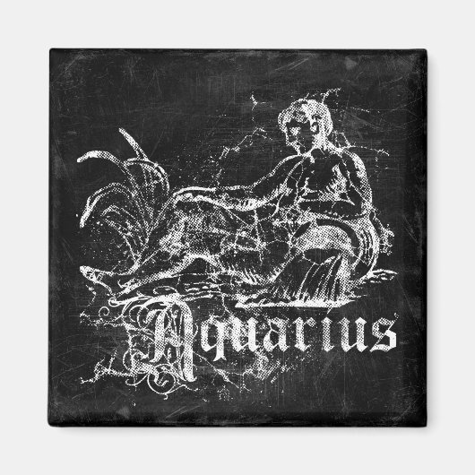 Zodiac  Aquarius Magneet (Voorkant)