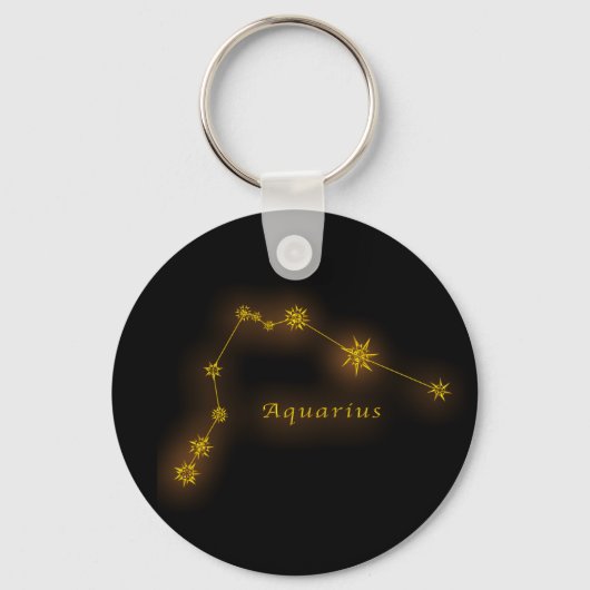 Zodiac - Aquarius Sleutelhanger (Voorkant)