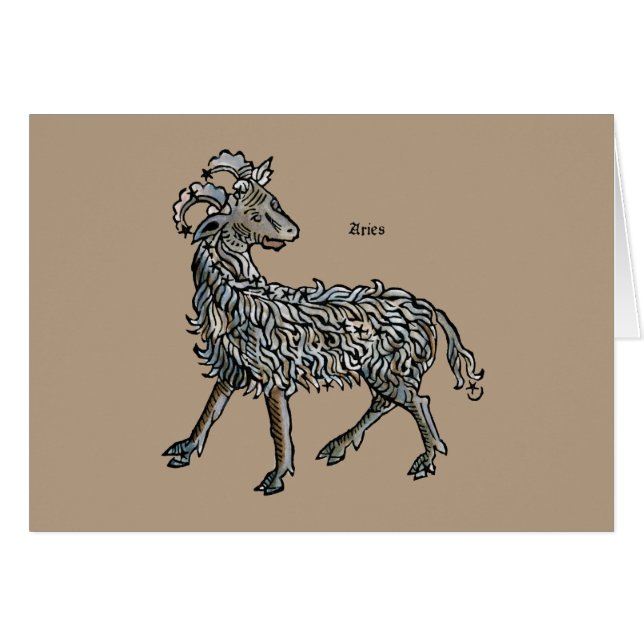 Zodiac: Aries 1482 (Voorkant Horizontaal)