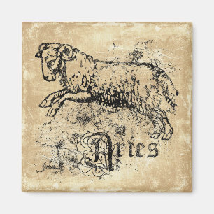  Zodiac Aries Magneet