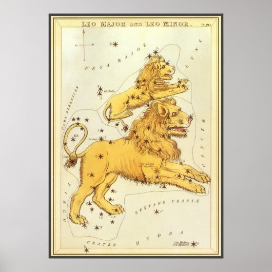 Zodiac, Astrology Leo Lion Constellation Poster (Voorkant)