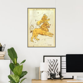 Zodiac, Astrology Leo Lion Constellation Poster