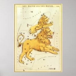  Zodiac, Astrology Leo Lion Constellation Poster