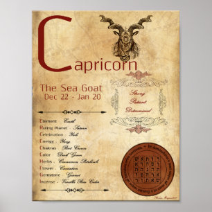 ZODIAC CAPRICORN Birth Sign POSTER