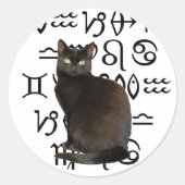 Zodiac Cat Sticker (Voorkant)