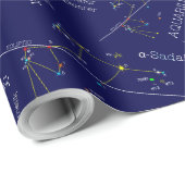 Zodiac Constellation Aquarius Cadeaupapier (Rol Hoek)