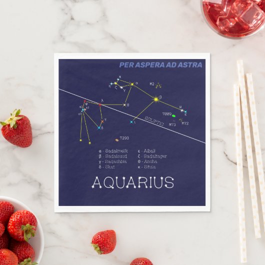 Zodiac Constellation Aquarius Napkins Servet (Insitu)