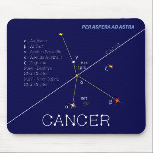 Zodiac Constellation Cancer Muismat