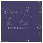 Zodiac Constellation Capricornus Stof (Close Up)