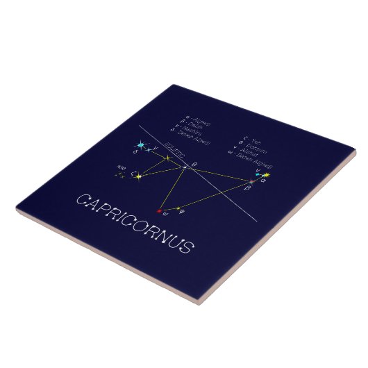 Zodiac Constellation Capricornus Tegeltje (Zijkant)