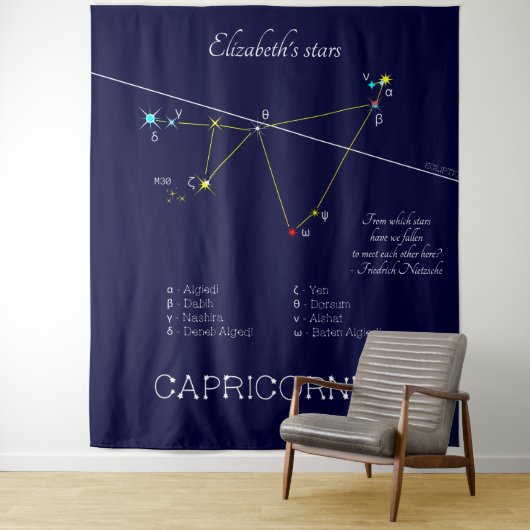 Zodiac Constellation Capricornus Wandkleed (In situ)